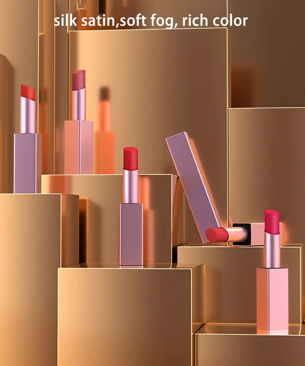 6 Colos Matte Waterproof LipStick Summer Long Lasting Lip Makeup Set No Fade Pigmented Lip Stick Cosmeitc Gift Kits (005)