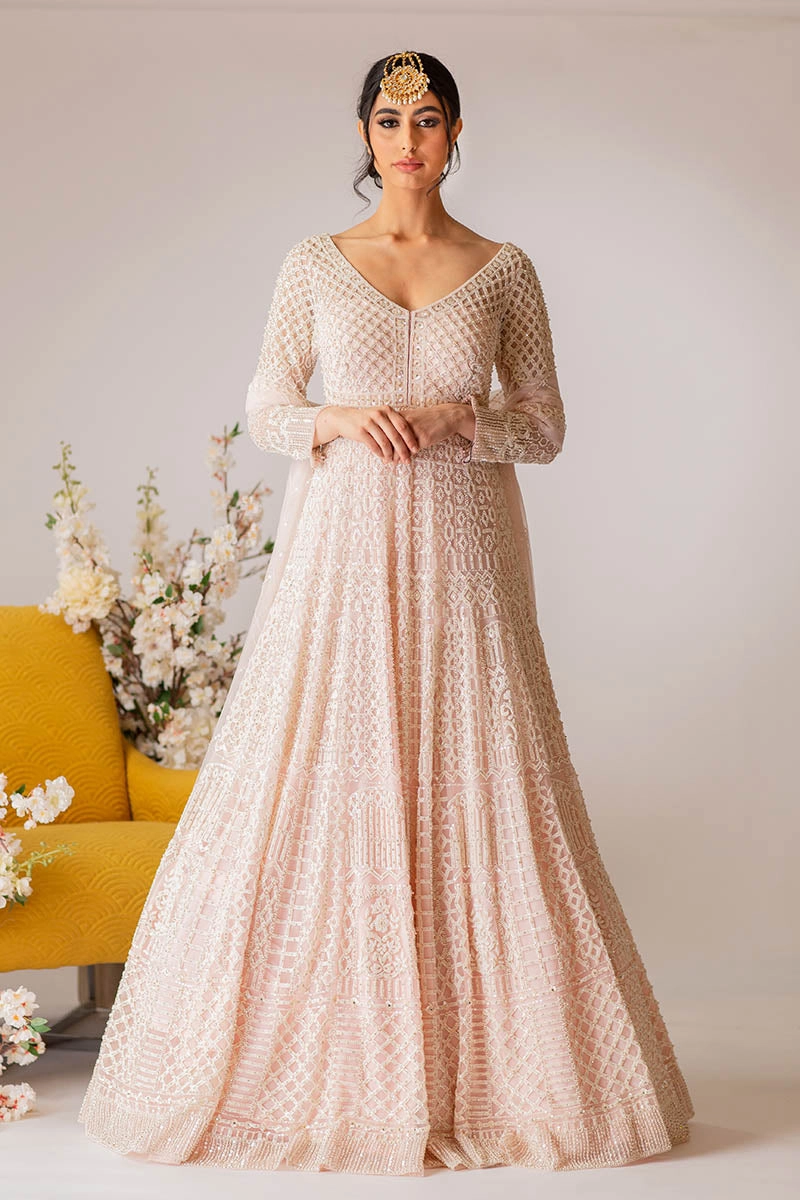 Blush Pink Gown Set