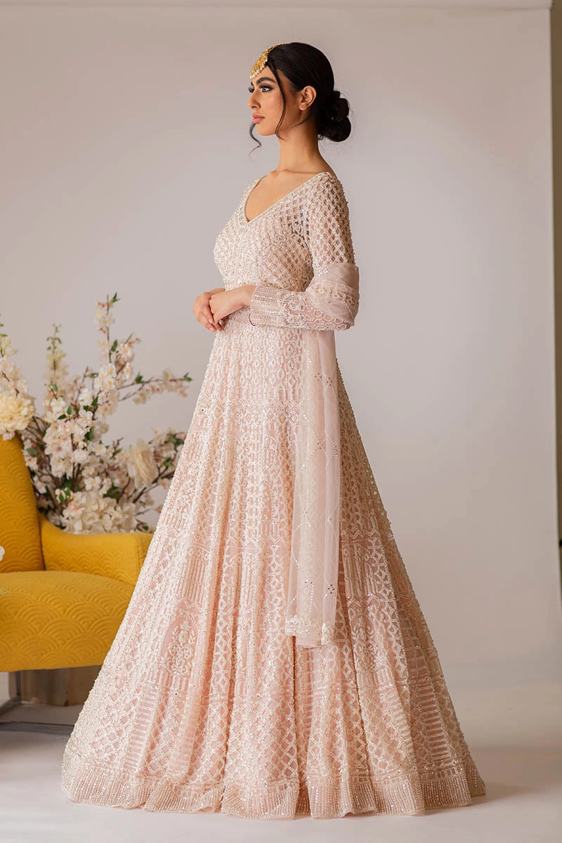 Blush Pink Gown Set
