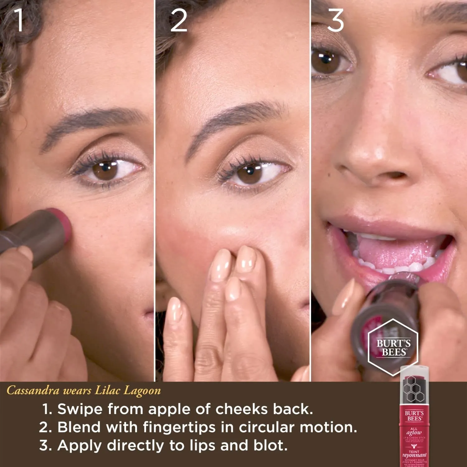 BURTS BEES Blush Bay All Aglow Lip & Cheek Stick, 0.32 OZ
