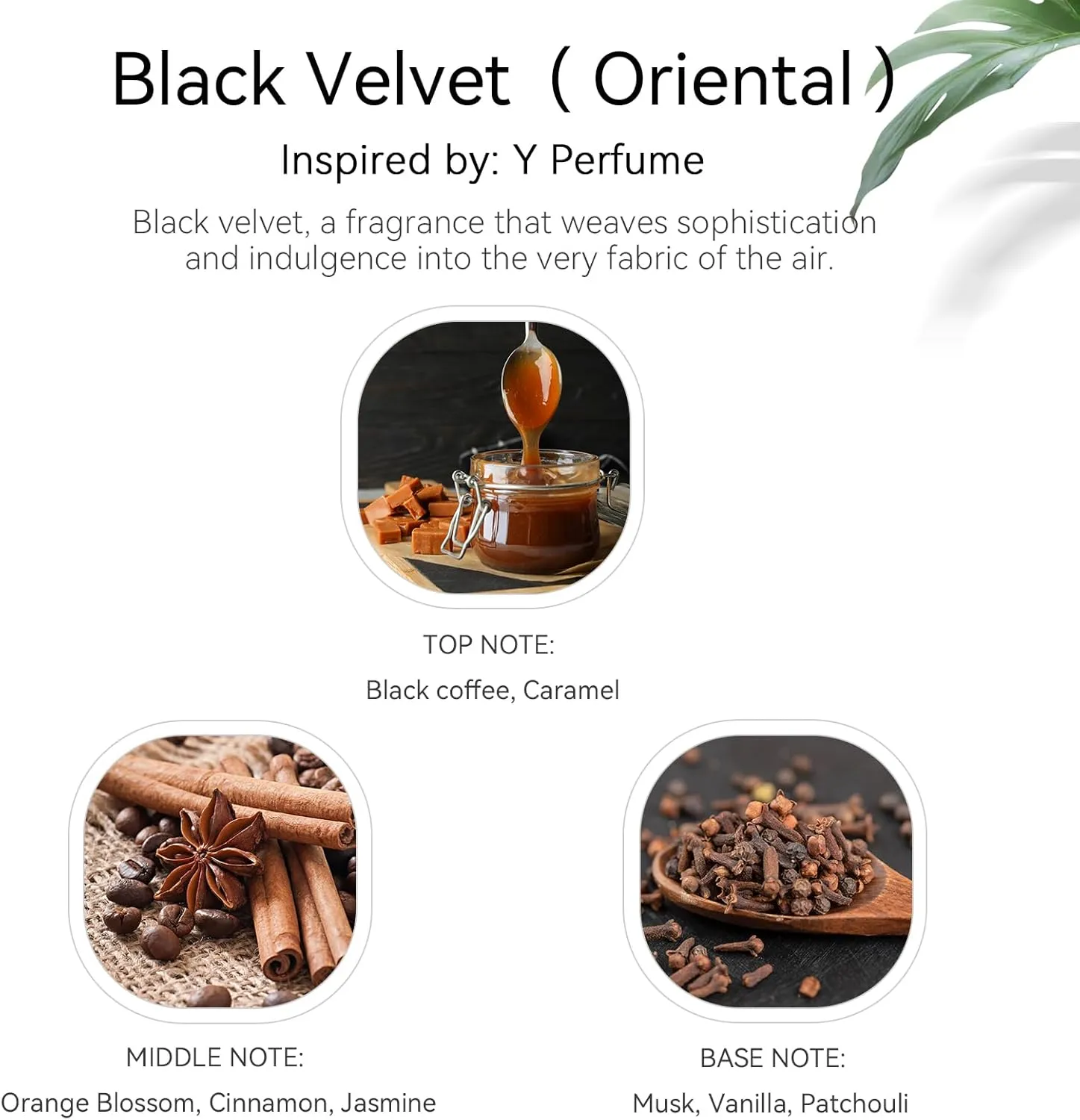 Hotel Fragrance Oil - Black Velvet Essential Oils for Scent Diffuser - Black Coffee, Caramel, Cinnamon, Vanilla, Patchouli - Home Luxury Scents Aroma Fragrance for Home, Office