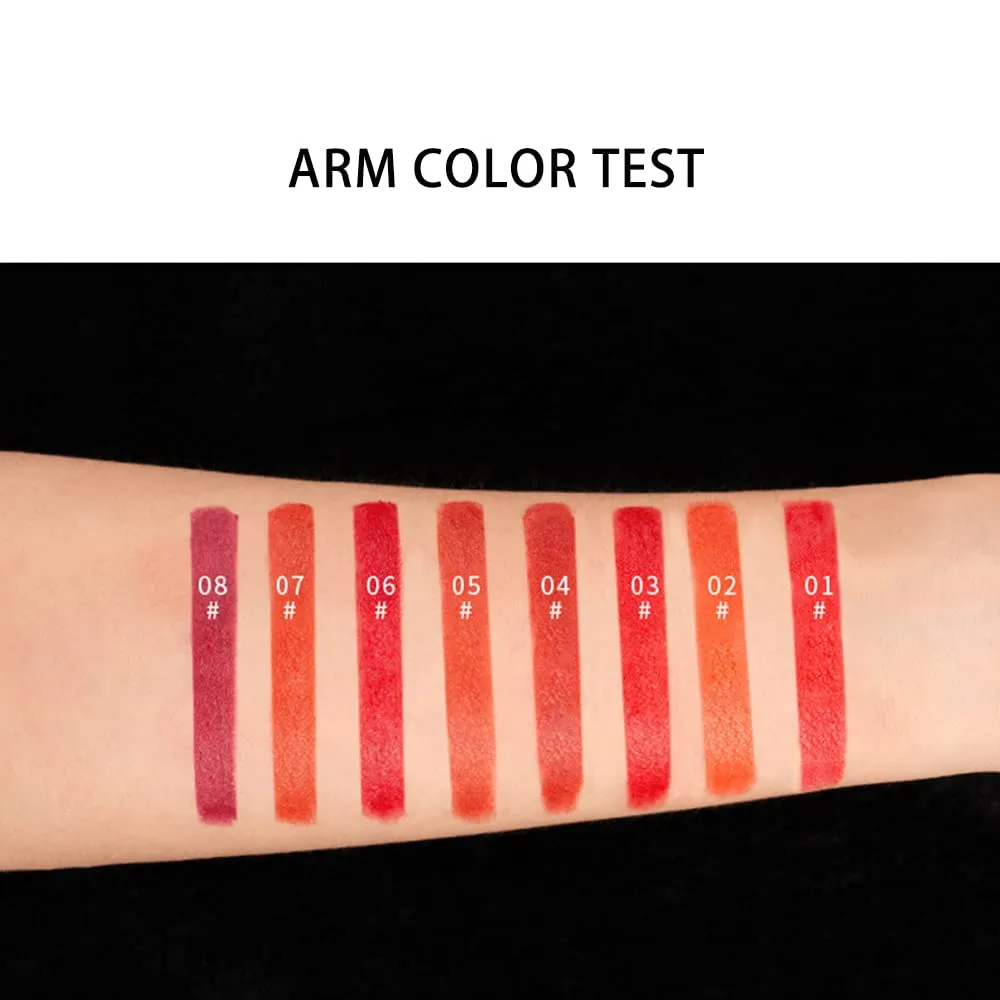Matte LipStick Multiple Colos Long Lasting Waterproof Lip Makeup No Fade Pigmented Lip Stick Cosmeitc Gift for Girls and Women (02#B)