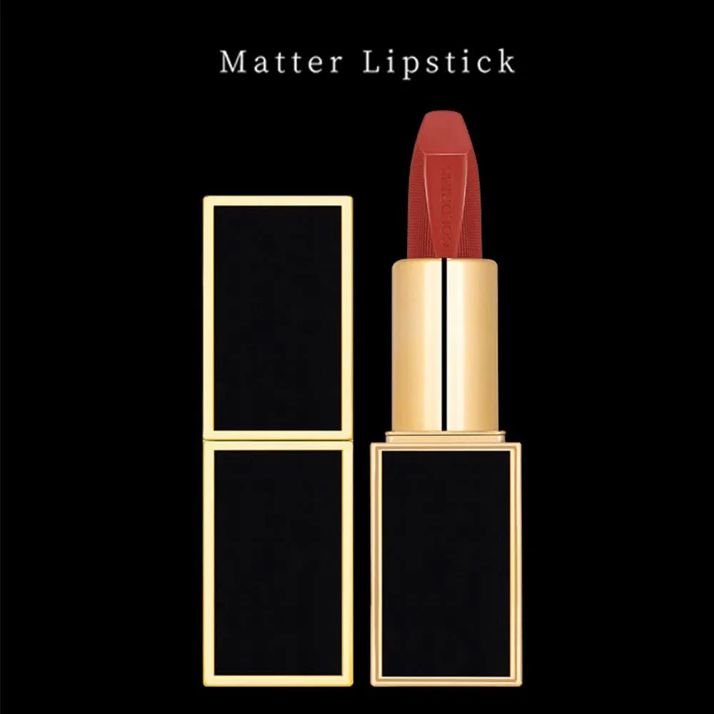 Matte LipStick Multiple Colos Long Lasting Waterproof Lip Makeup No Fade Pigmented Lip Stick Cosmeitc Gift for Girls and Women (02#B)