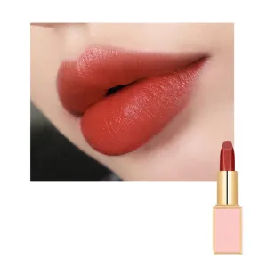 Matte LipStick Multiple Colos Long Lasting Waterproof Lip Makeup No Fade Pigmented Lip Stick Cosmeitc Gift for Girls and Women (04#P)