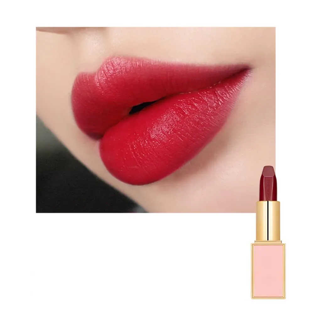 Matte LipStick Multiple Colos Long Lasting Waterproof Lip Makeup No Fade Pigmented Lip Stick Cosmeitc Gift for Girls and Women (05#P)