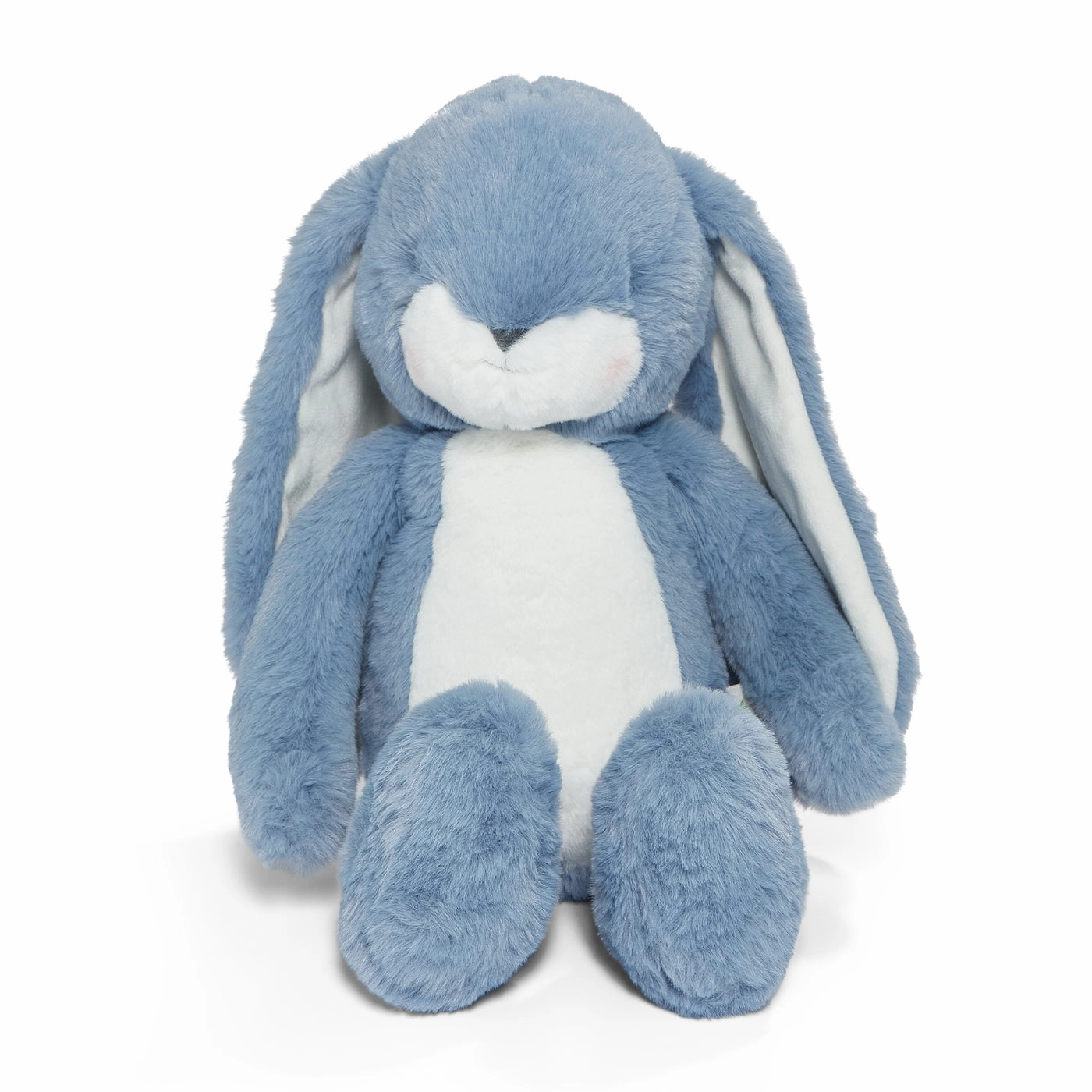 Personalized Big Floppy Bunny - Blue