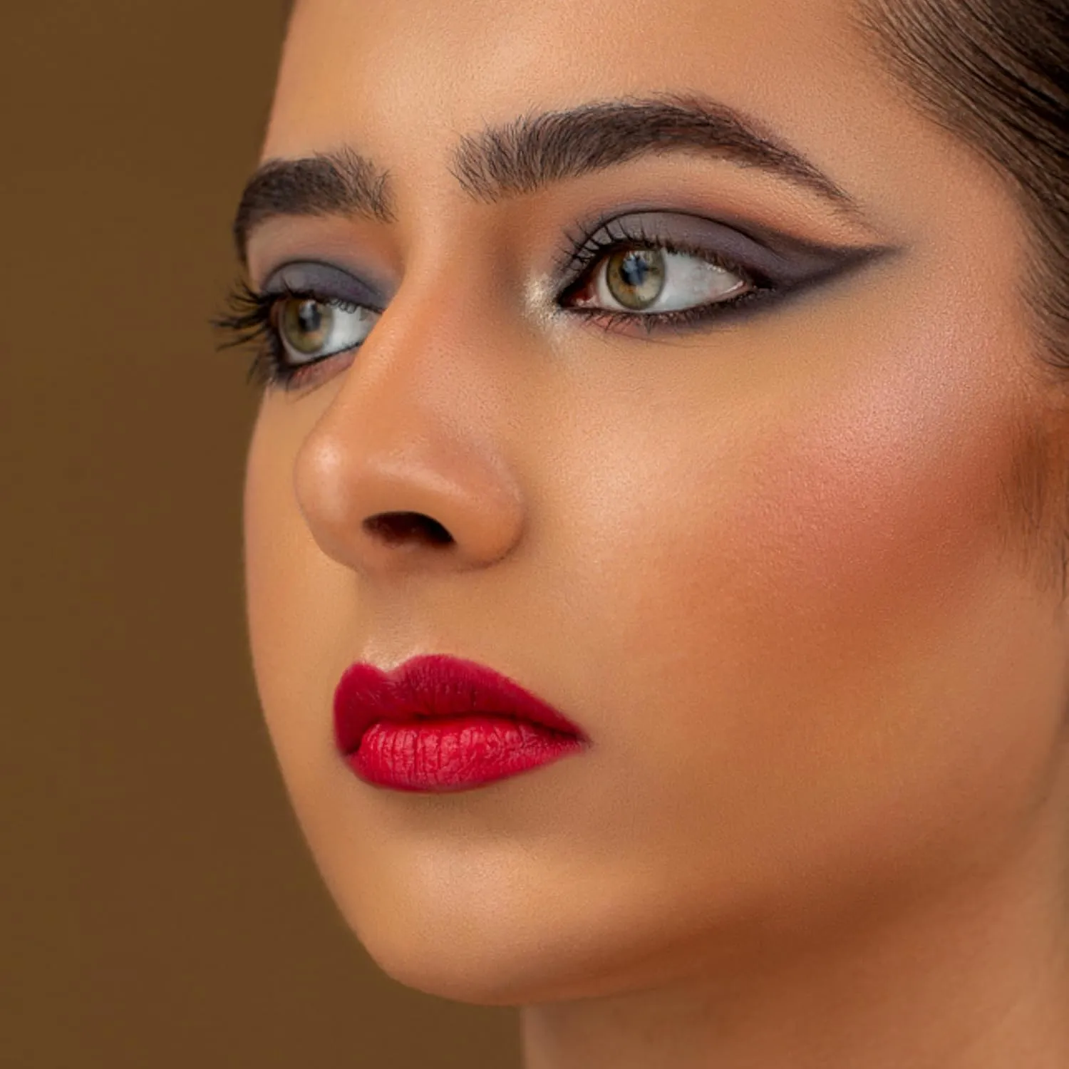 Vegan Lipstick for Women, Matte, Long Lasting, Hydrating Lip Stick with Vitamin E and Watermelon Seed Oil, Vegan Makeup, Paraben and Cruelty Free (Ambitious - Red Color)
