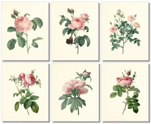 Vintage Pink Roses Botanical Prints - Flower Wall Art - Floral Decor - Rose Pictures - Floral Prints for Bedroom or Bathroom - (Set of 6) - 8x10 - Unframed - Prints Made Perfect